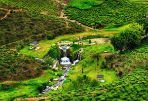 Cameron Highlands Landscape view