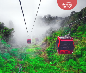 bus_to_Genting_and_gondola_cable_car_tickets_